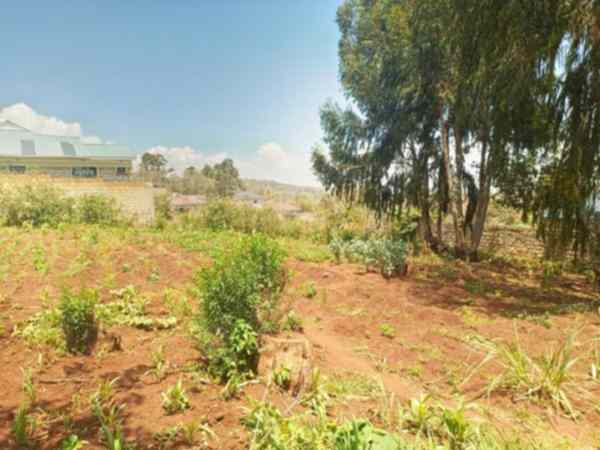 0.25 acre plot for sale in Ngong Kibiko