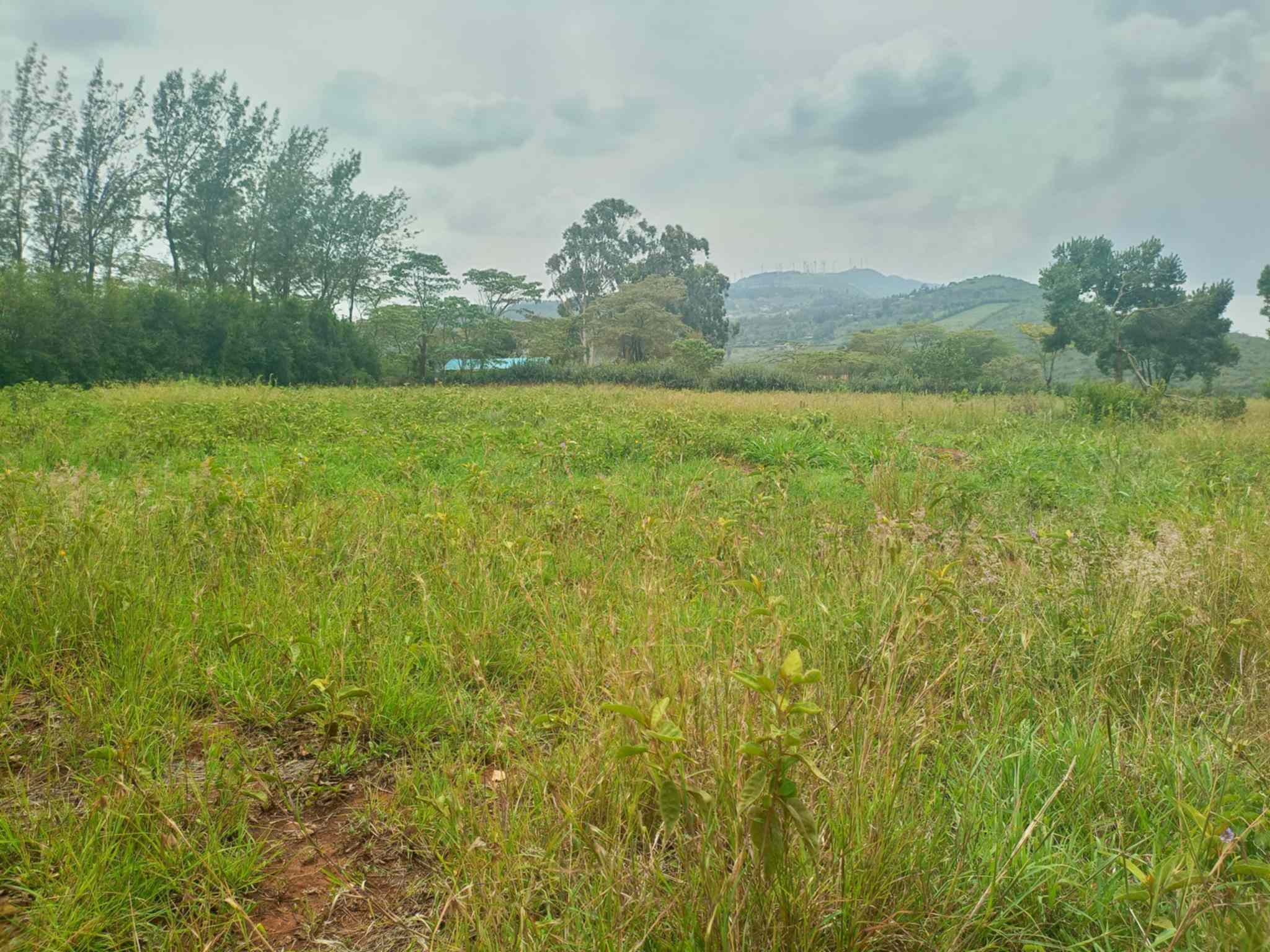 0.5 acre plot for sale in Ngong