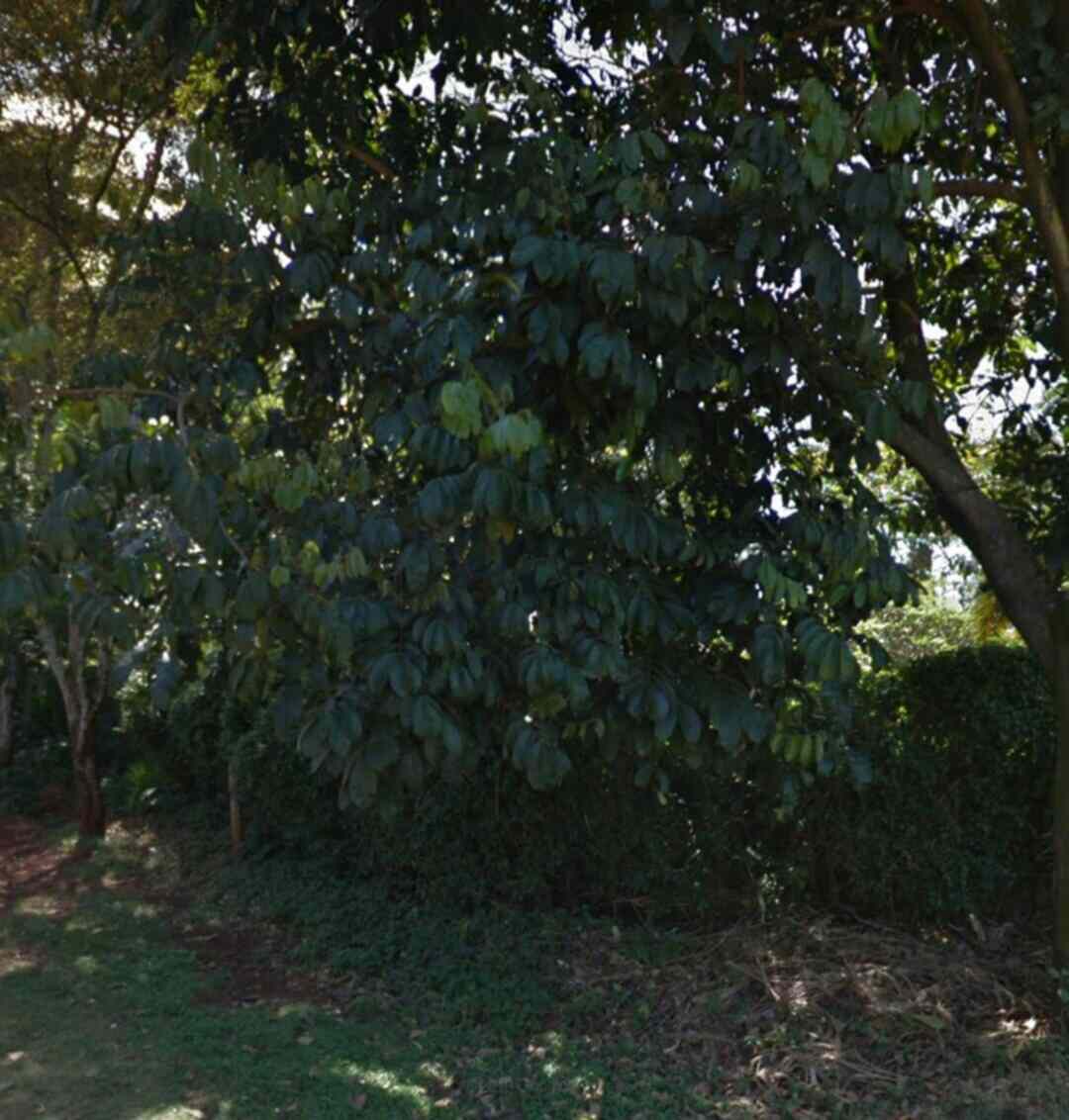 0.6 acre plot for sale in Runda Mimosa