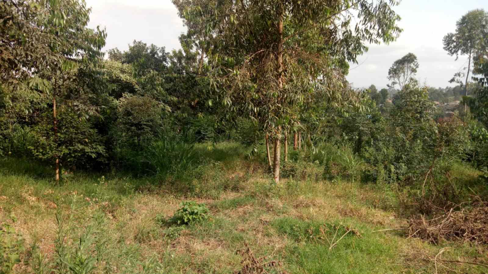 0.625 acre plot for sale in Wangige