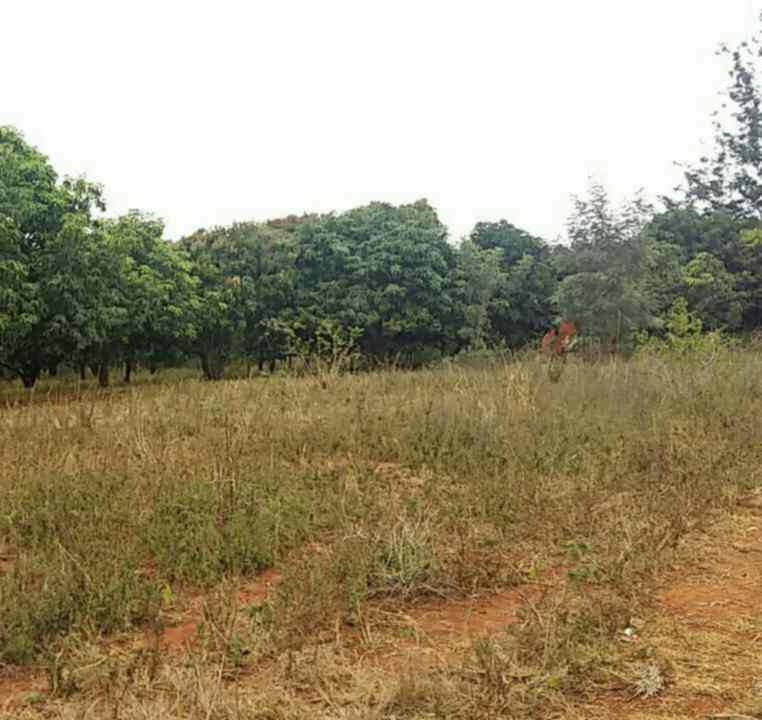 1 acre agricultural Land for sale in Kambiti Makuyu Muranga