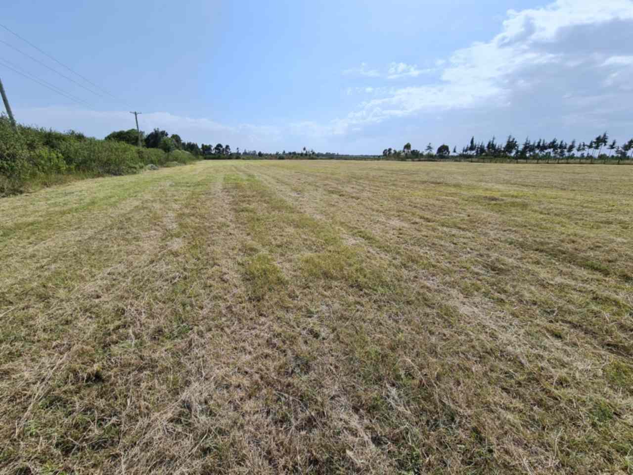 1 Acre Agricultural Land  for sale in Naromoru