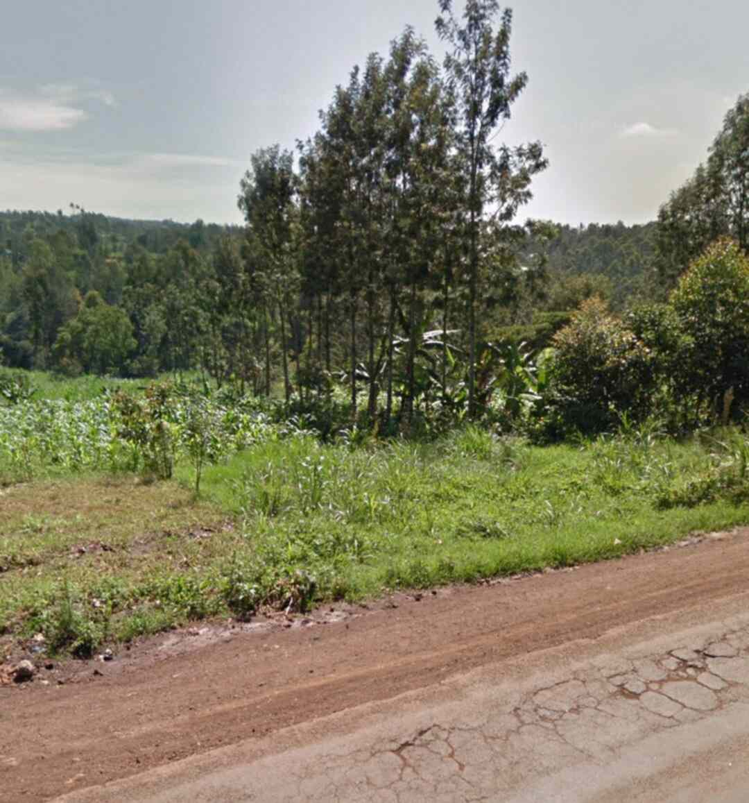 1 acre land for lease in Ruaka