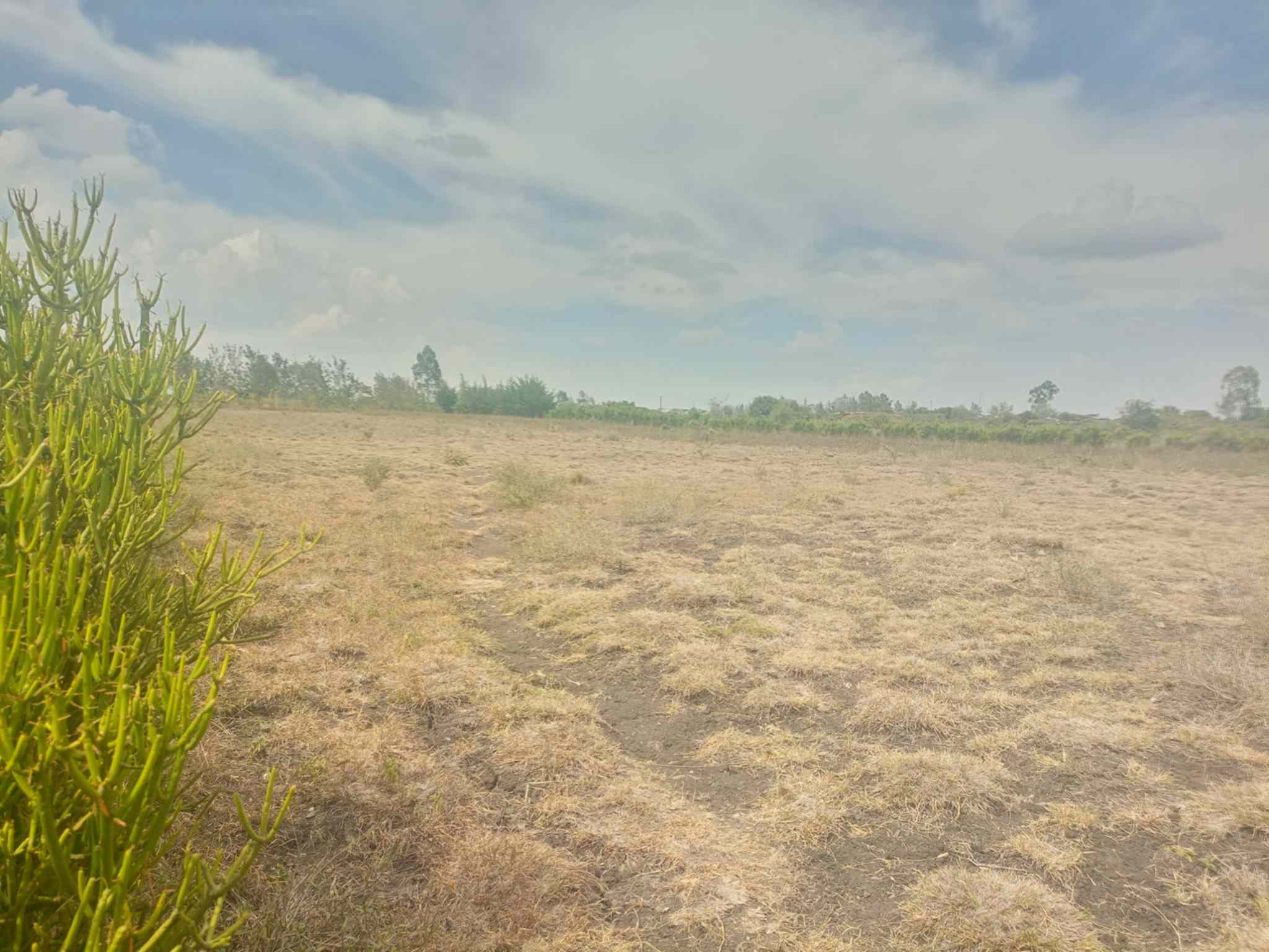 1 acre land for sale in Kiserian