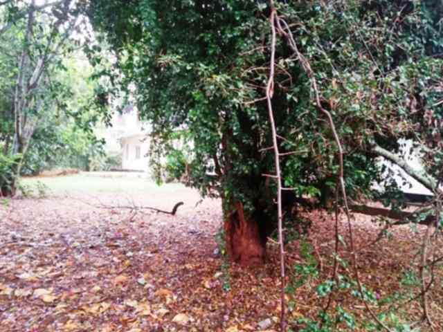 1 acre Land for sale in Lavington