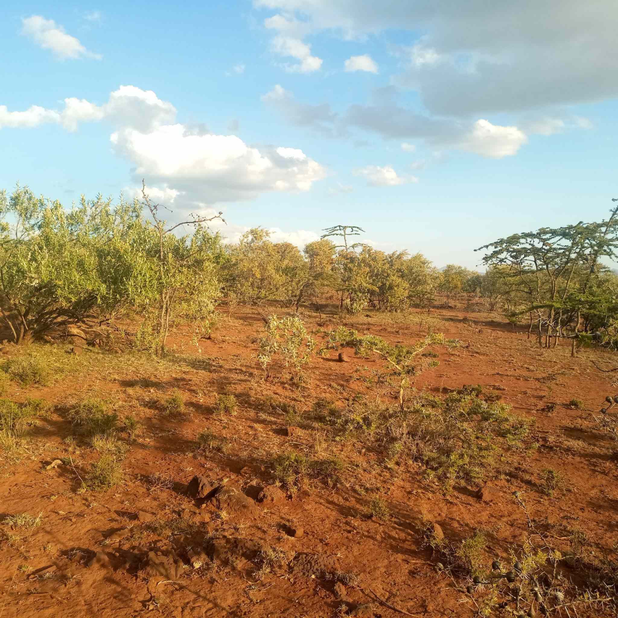 1 acre land for sale in Ngong