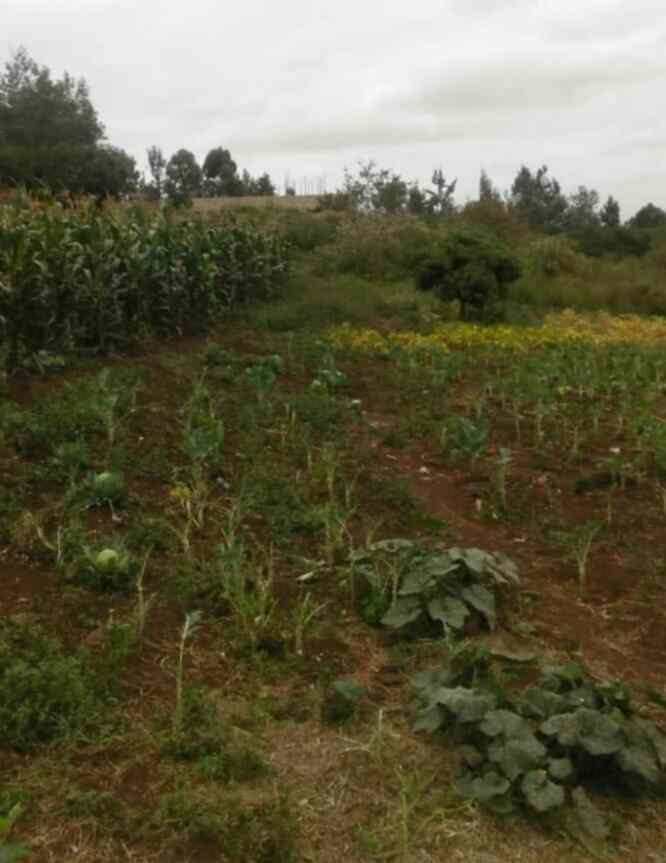 1 acre land for sale in Old Kitisuru