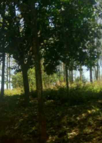 1 acre land for sale in Ruaka