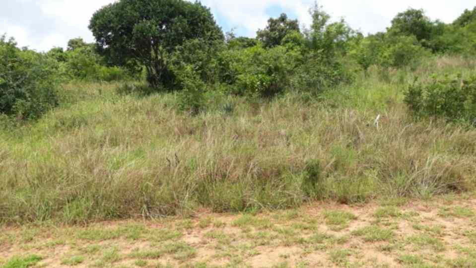 1 acre Land for sale in Vipingo Ridge Mombasa