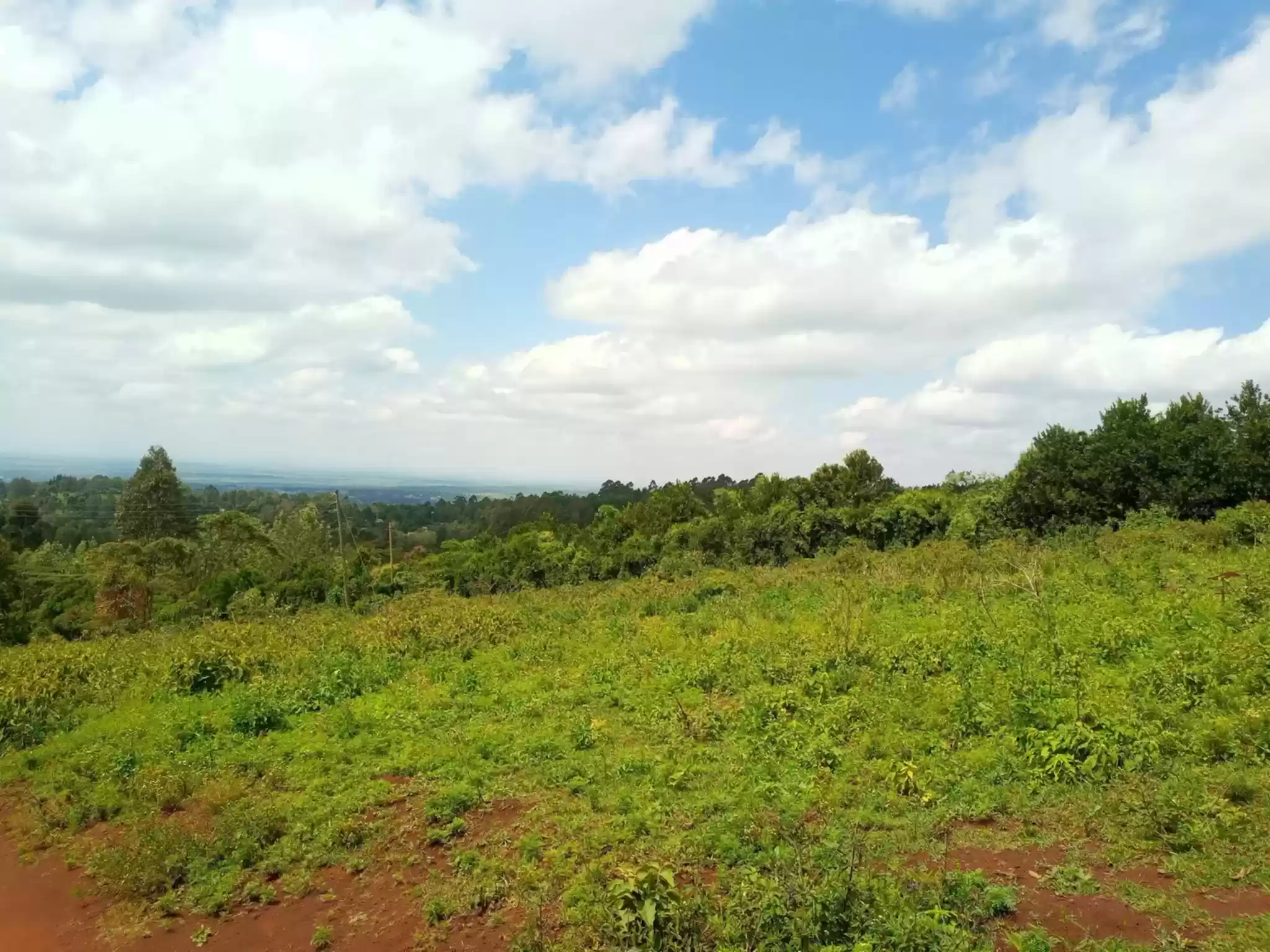 1 acre plot for sale in Runda Mumwe along Pan african insurance lane Image