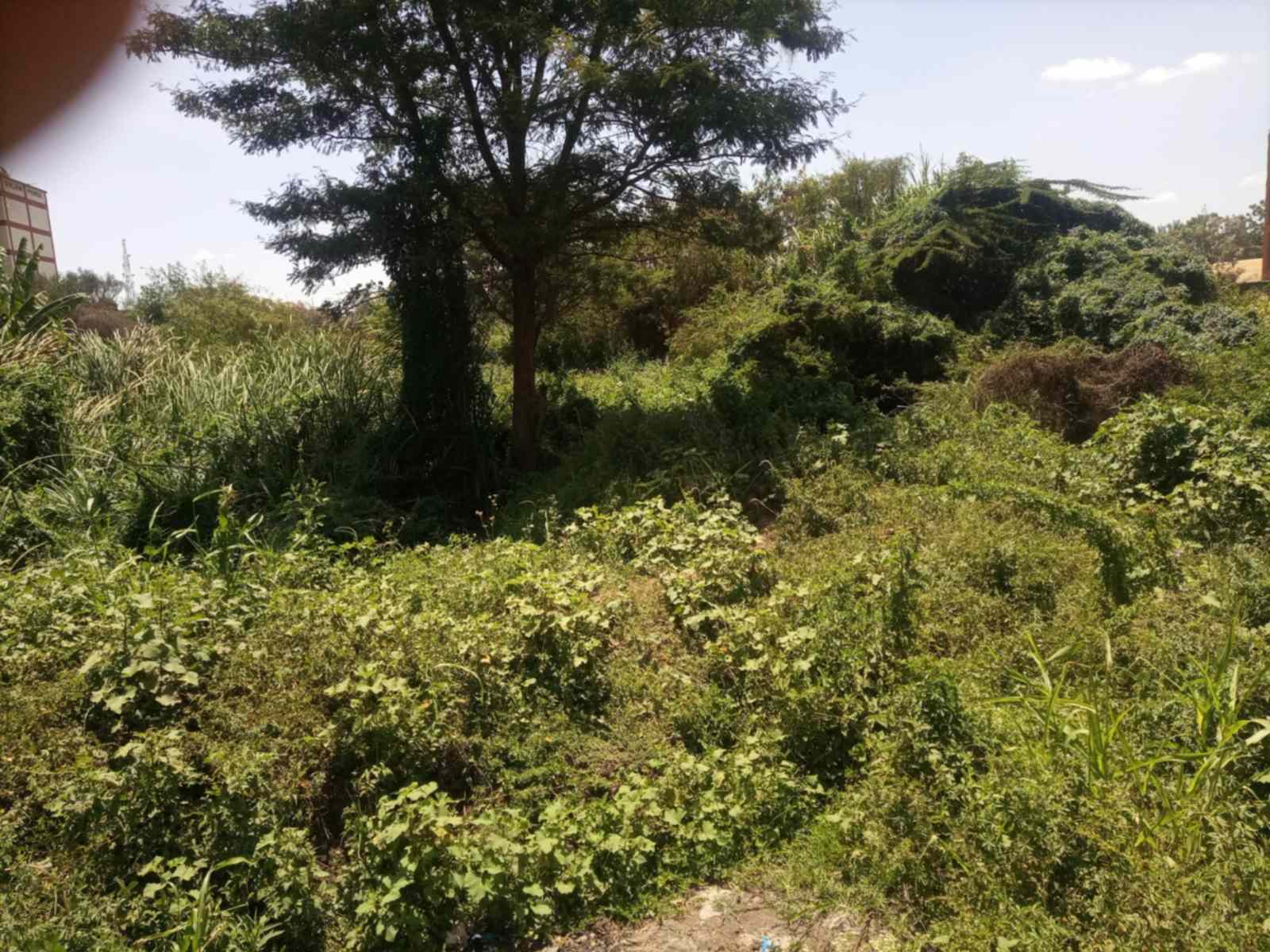 10 Acres of land for sale in Juja