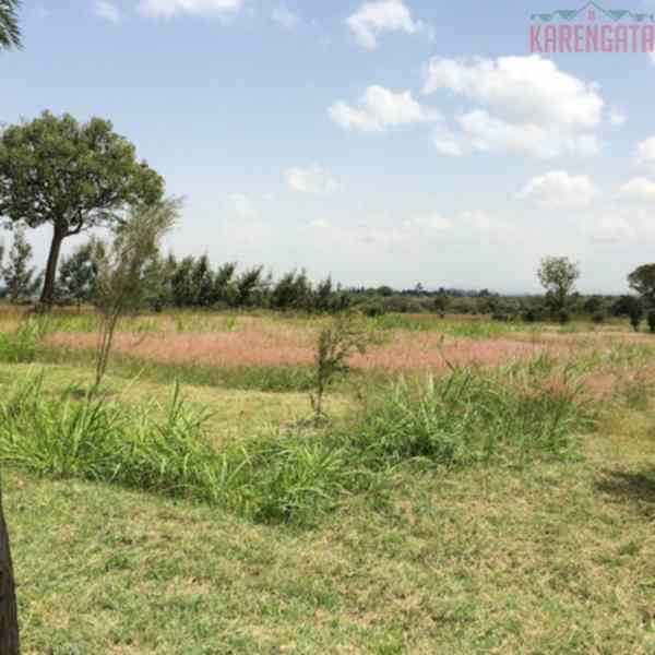 10 Acres of land for sale in Muranga