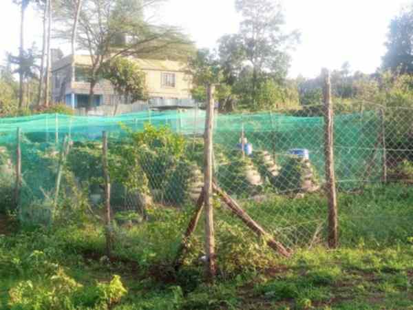 100 by 100 plot for sale in Kikuyu Gikambura