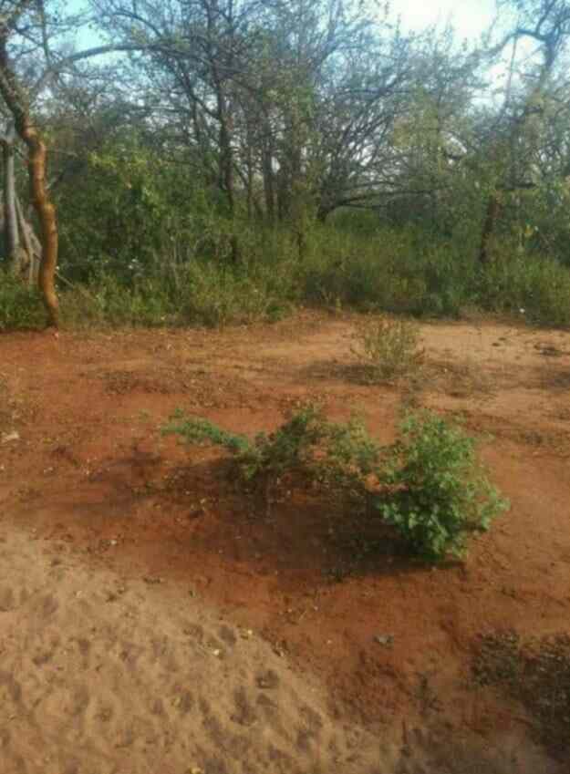 1000 acre land for sale in Kibwezi Makueni