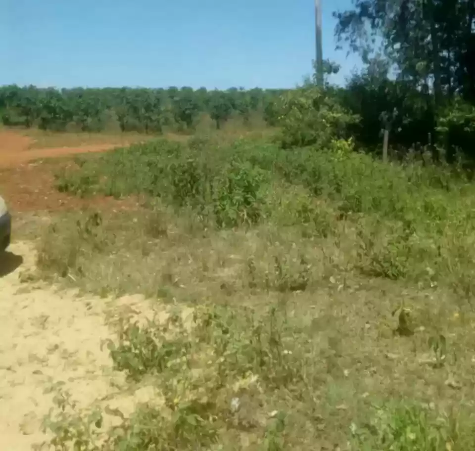 104 acre land for lease in  shamata olborasalt Nyandarua