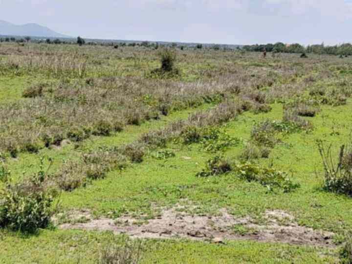 12 acre land for sale in Oloosuyian