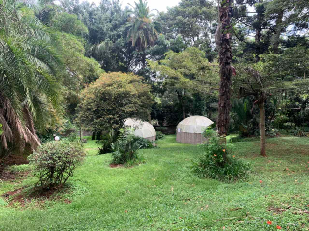 1.2 acres  With 4 Bedrooms  Mansionette With Dsq In Muthaiga