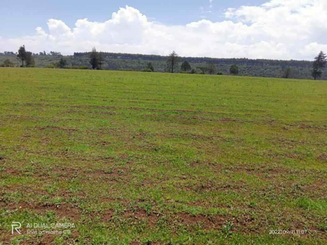 123 acre land for sale in Ol Kalou Nyandarua Kaimbaga