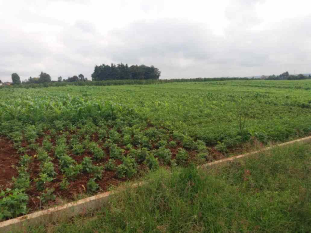 13 Acres of Land for sale along Kiambu road