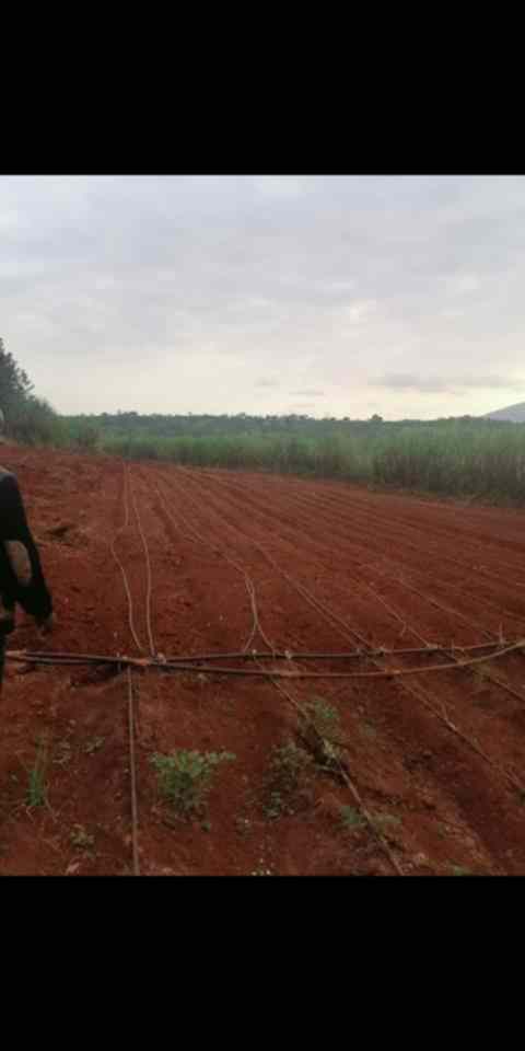 15 acre land for sale in Machakos Tulimani