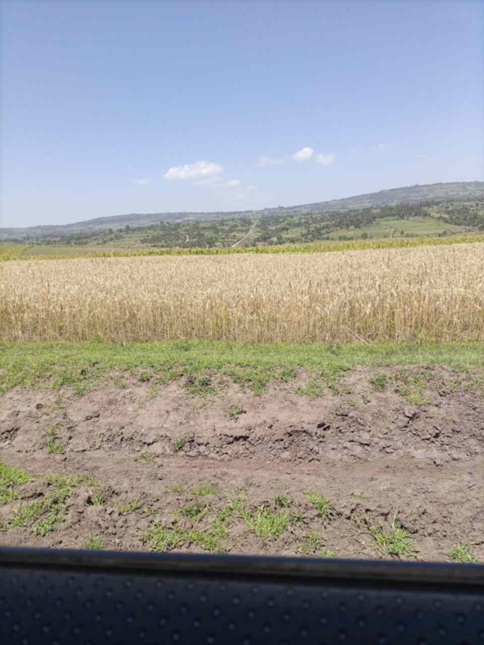 1500 acre land for sale in Narok