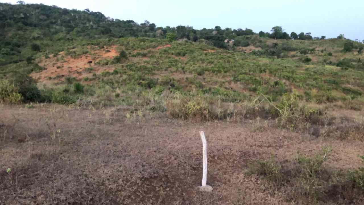 16 acre land for sale in Miritini Mombasa