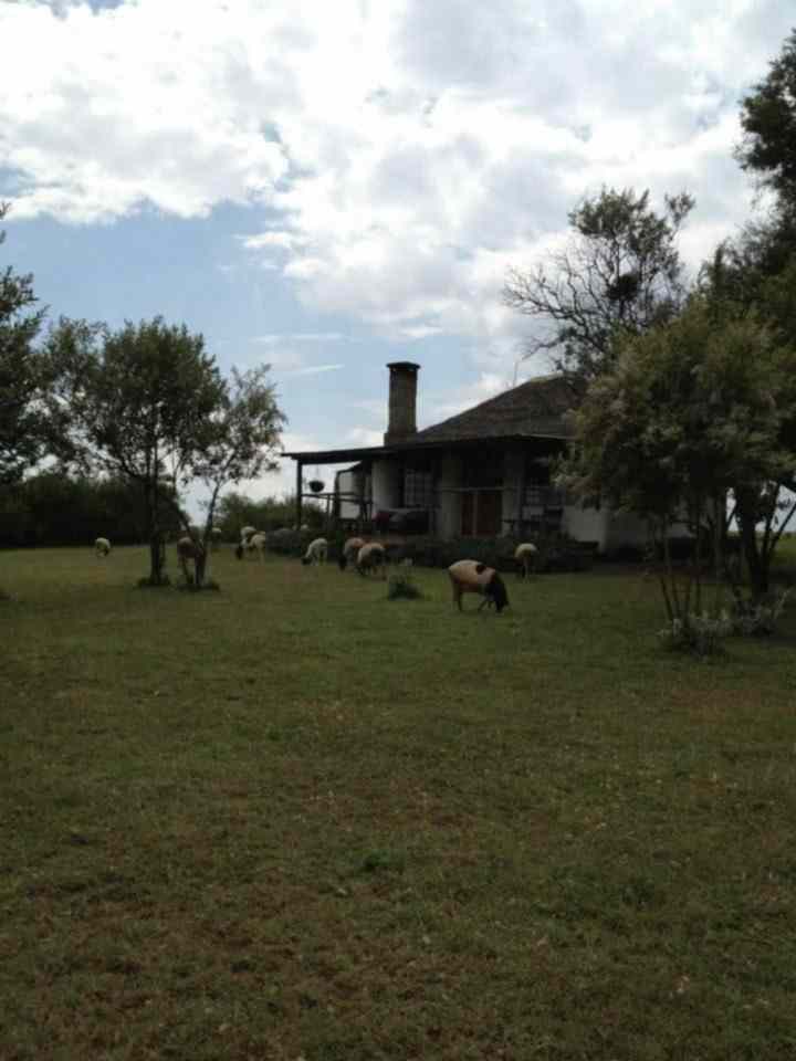 1740 acre Ranch for sale in Naivasha