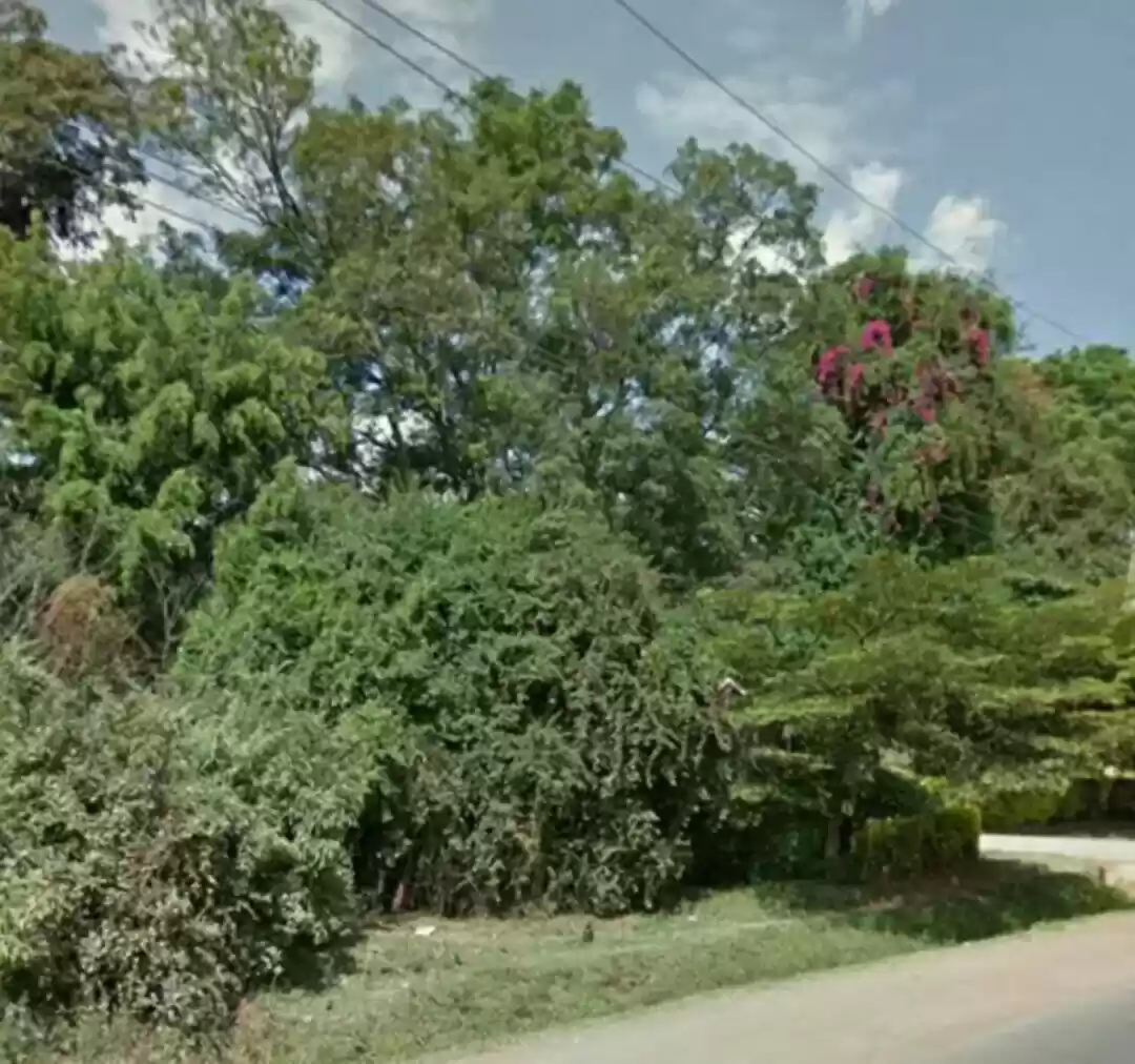 2 acre land for lease in Karen Image