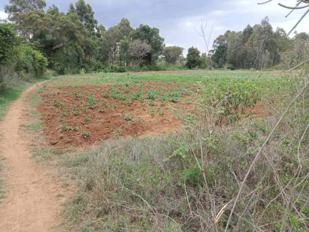 2 acre Land for sale in Nanyuki Burguret area