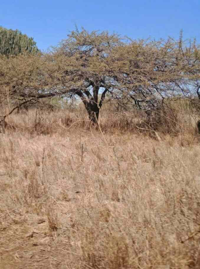 2 acre land for sale in Nanyuki town