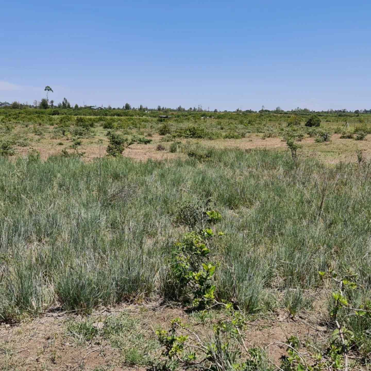 2 acre land for sale in Nanyuki