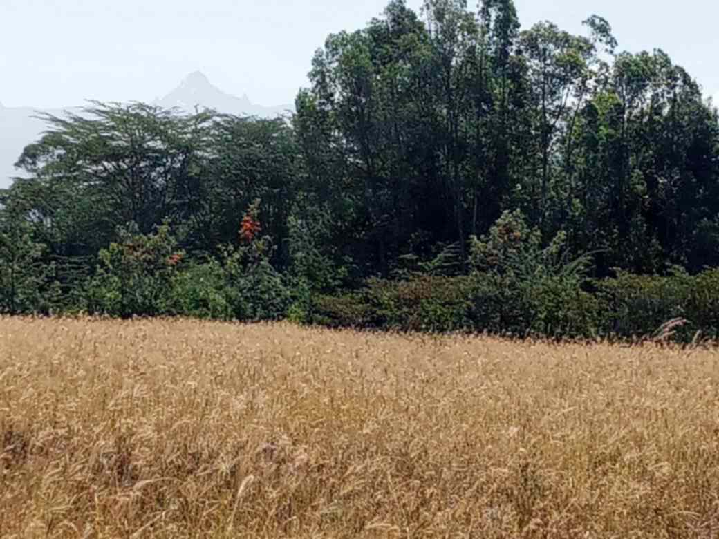 2 acre land for sale in Nanyuki near airstrip
