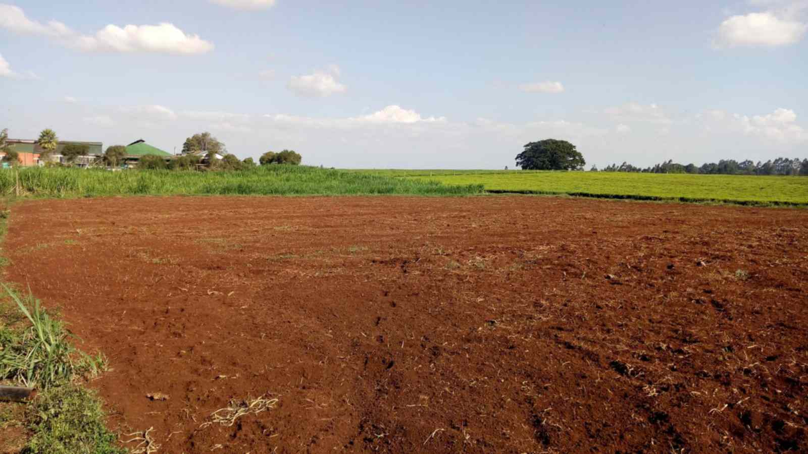 2 acre land for sale near Ngorongoro Tea factory Tigoni