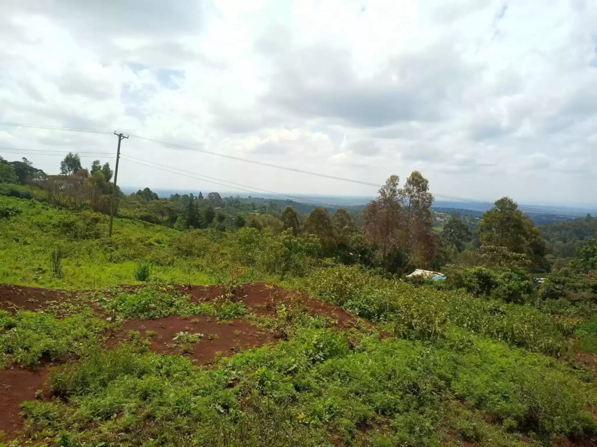 2 acres plot for sale in Nyari Image