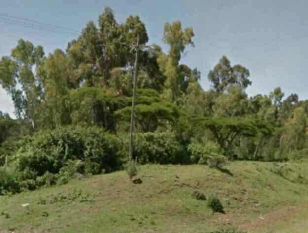 20 acre agricultural land for sale in Ndaragua Imenti area