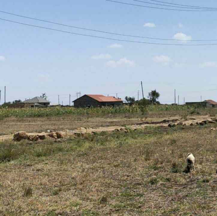 20 Acres of land for sale in Juja