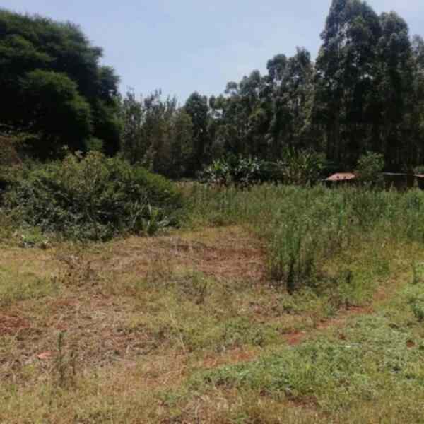 2.5 acre land for lease in Karen