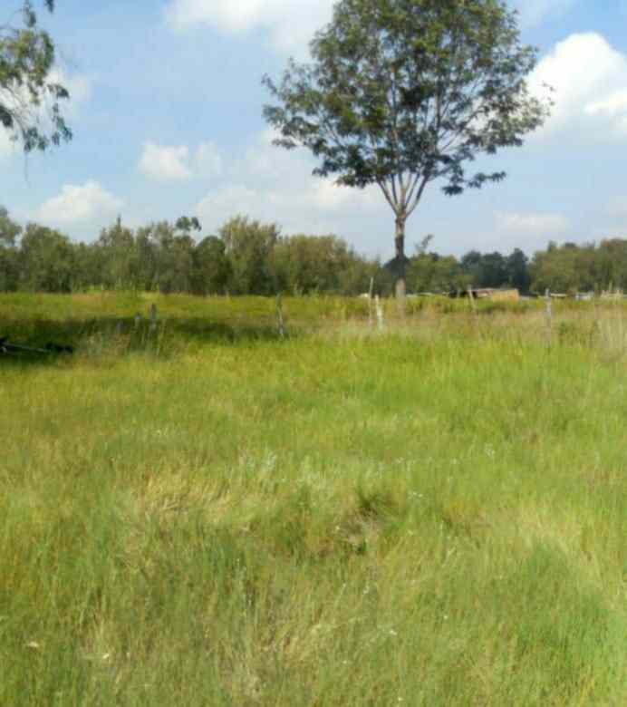 2.5 acre land for lease in Karen Langata road