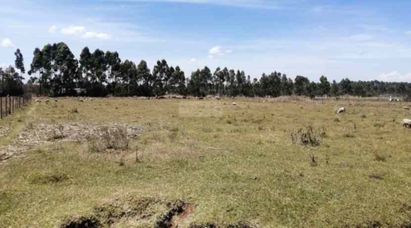 25 acre land for sale in Upper Elgon View Eldoret