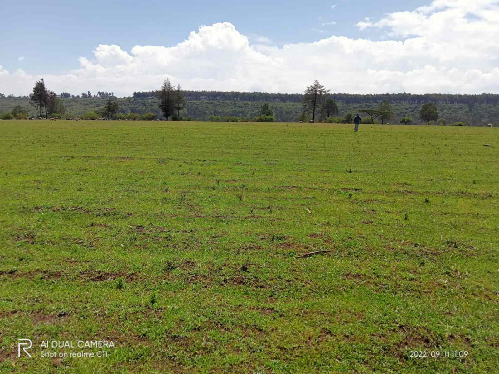 29 acre land for sale in Ol Kalou Nyandarua