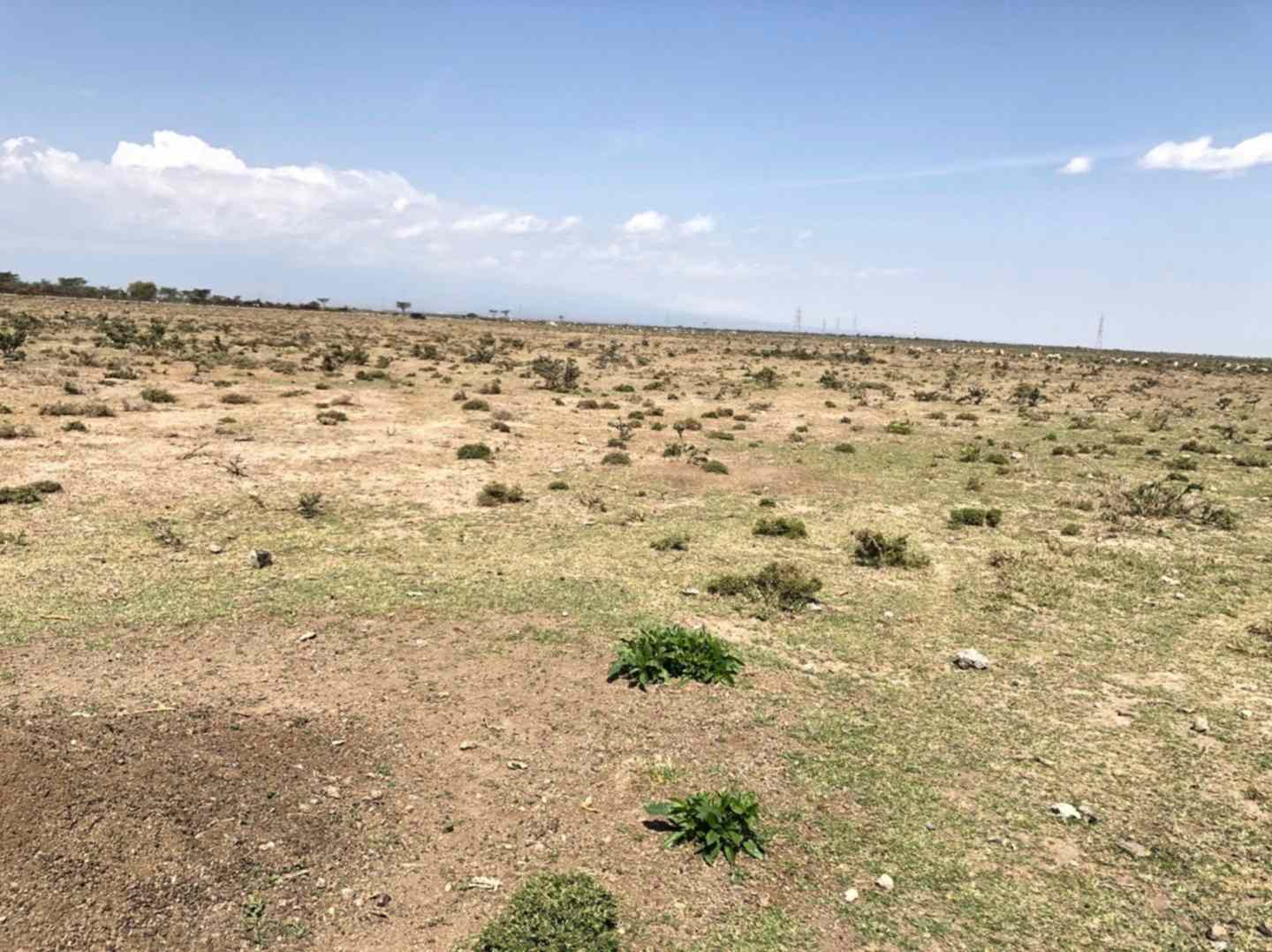 3 acres of land for sale along kiambu road