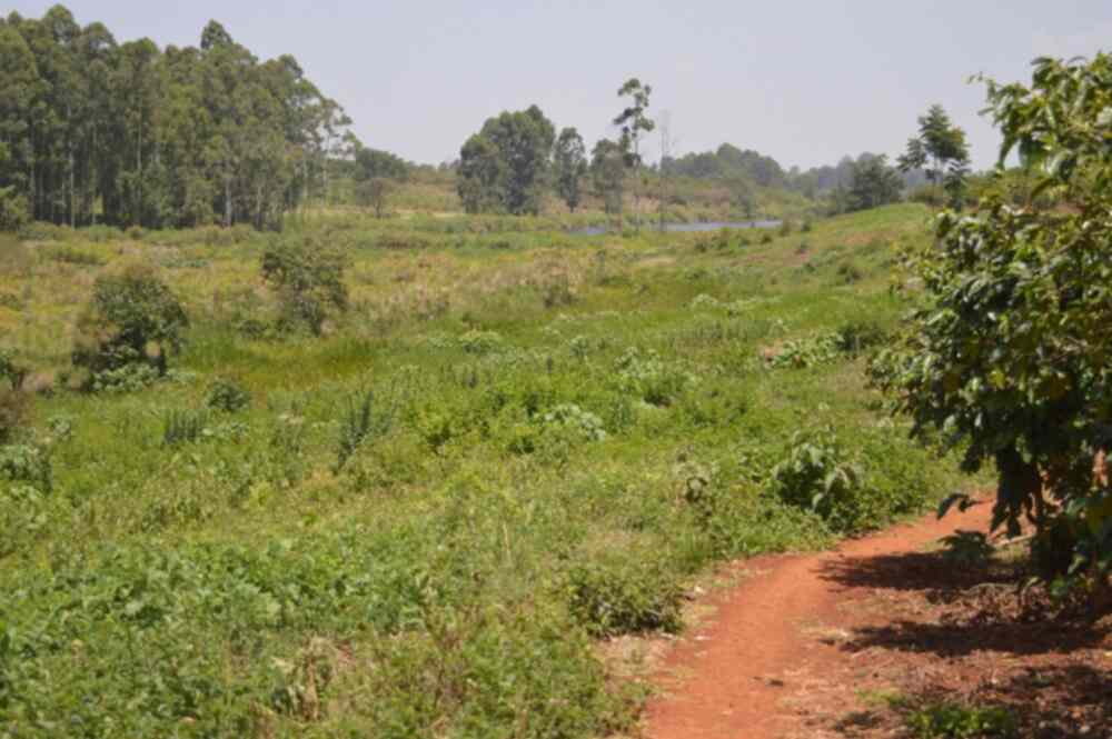 30 acre land for sale in Runda Mumwe