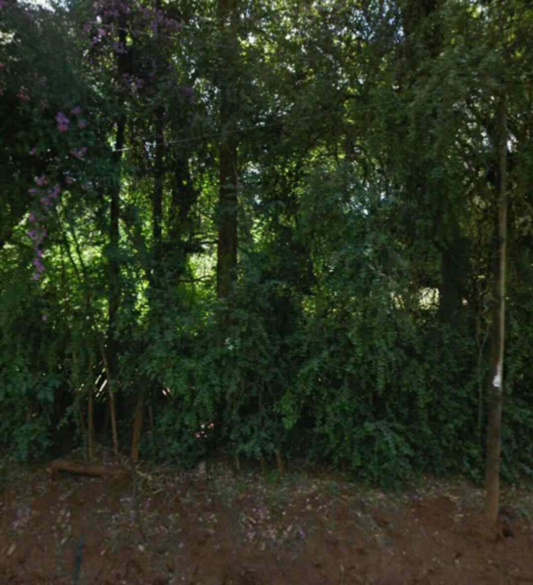 3/4 Actre of Land for sale in Ngara along ngara road