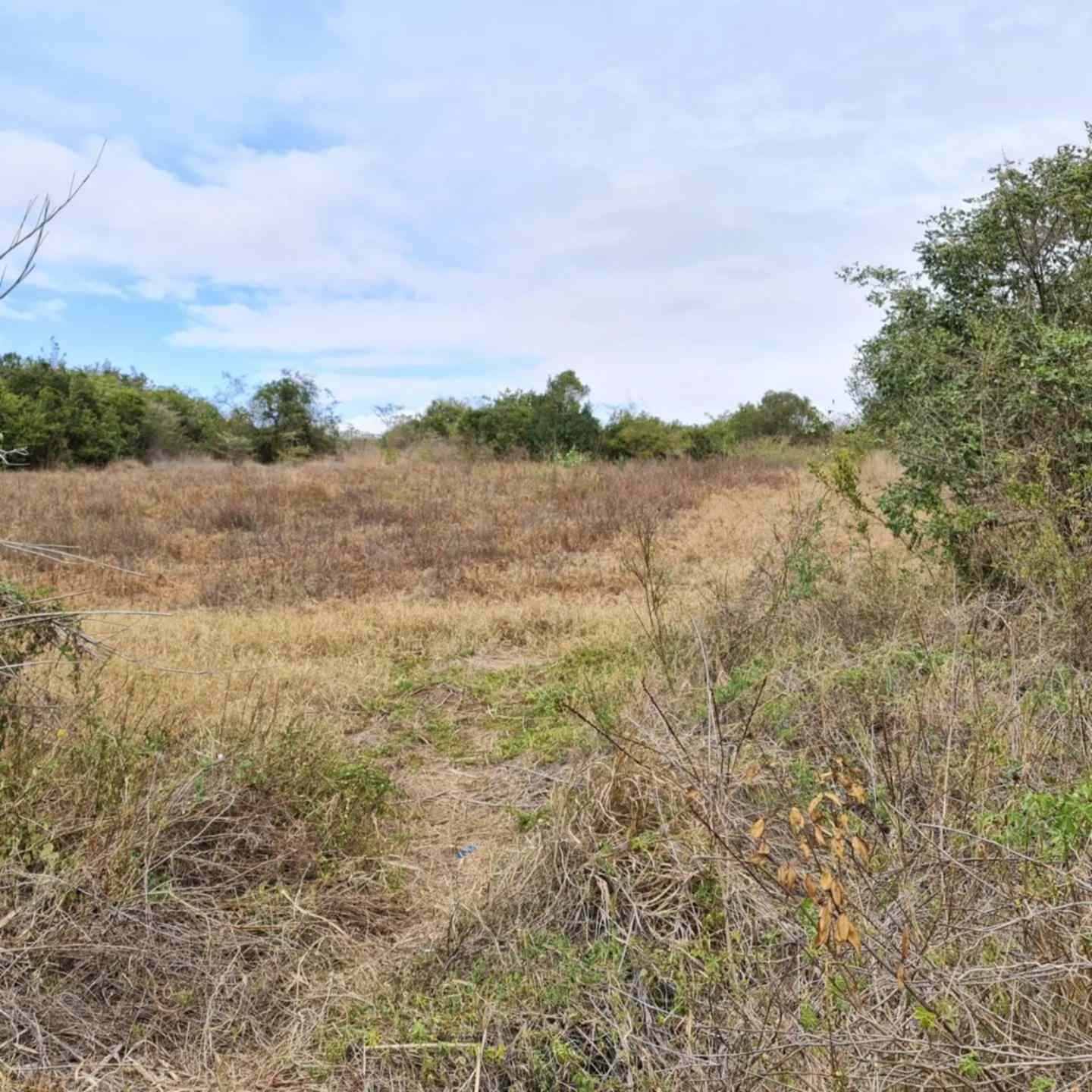 3.5 acre land for sale in Nanyuki Maiyan