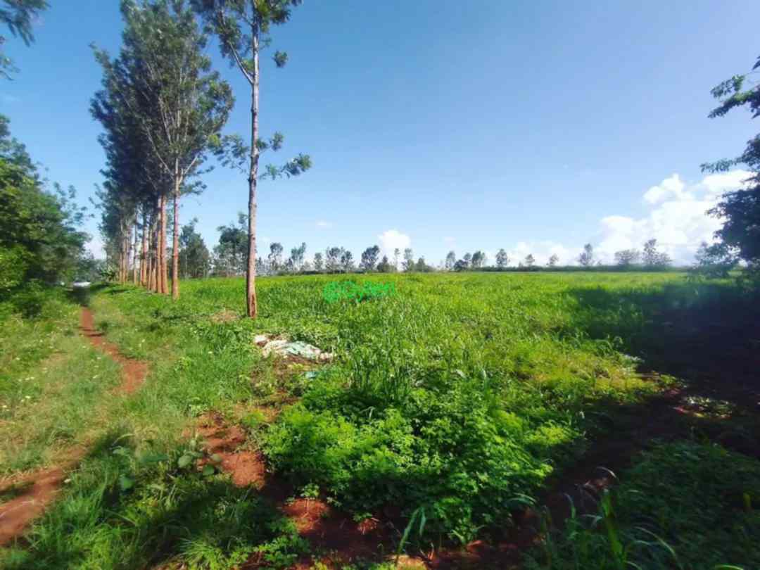 4 acre land for sale in Maragua Muranga County