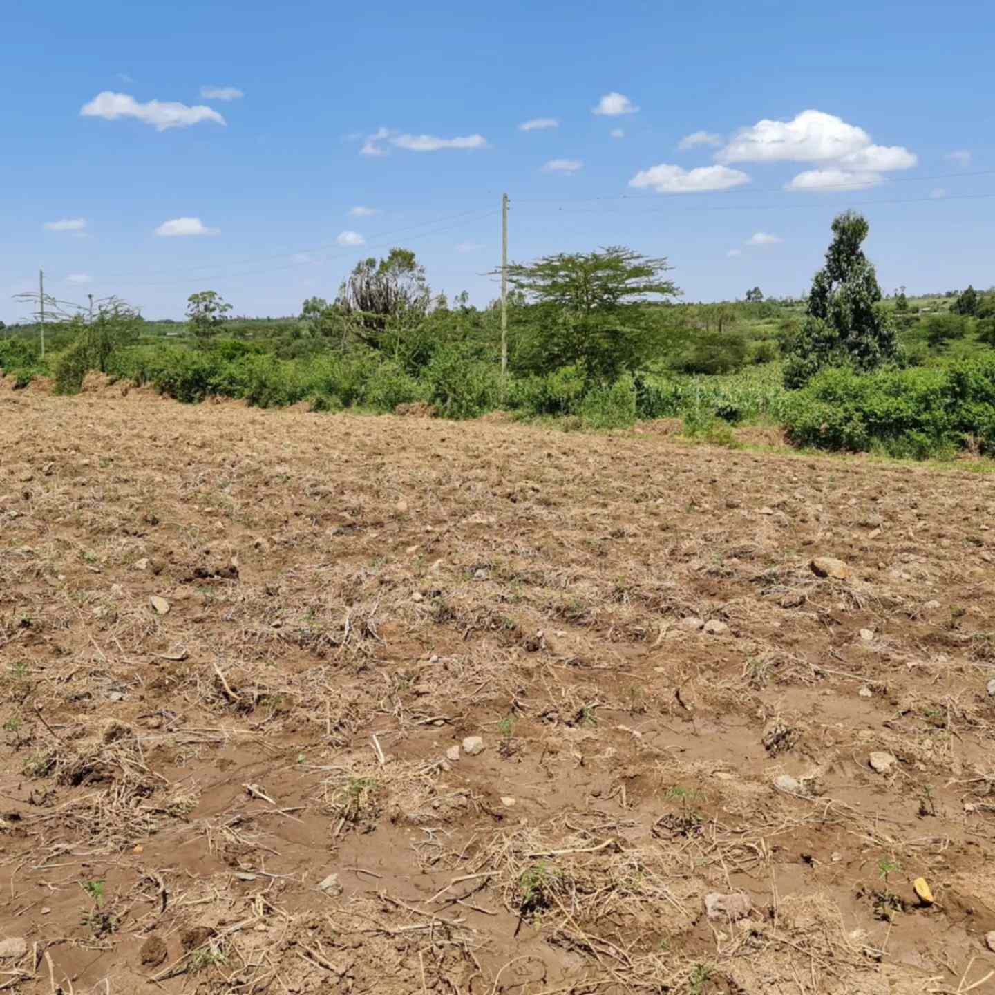 4 acre land for sale in Nanyuki Burguret