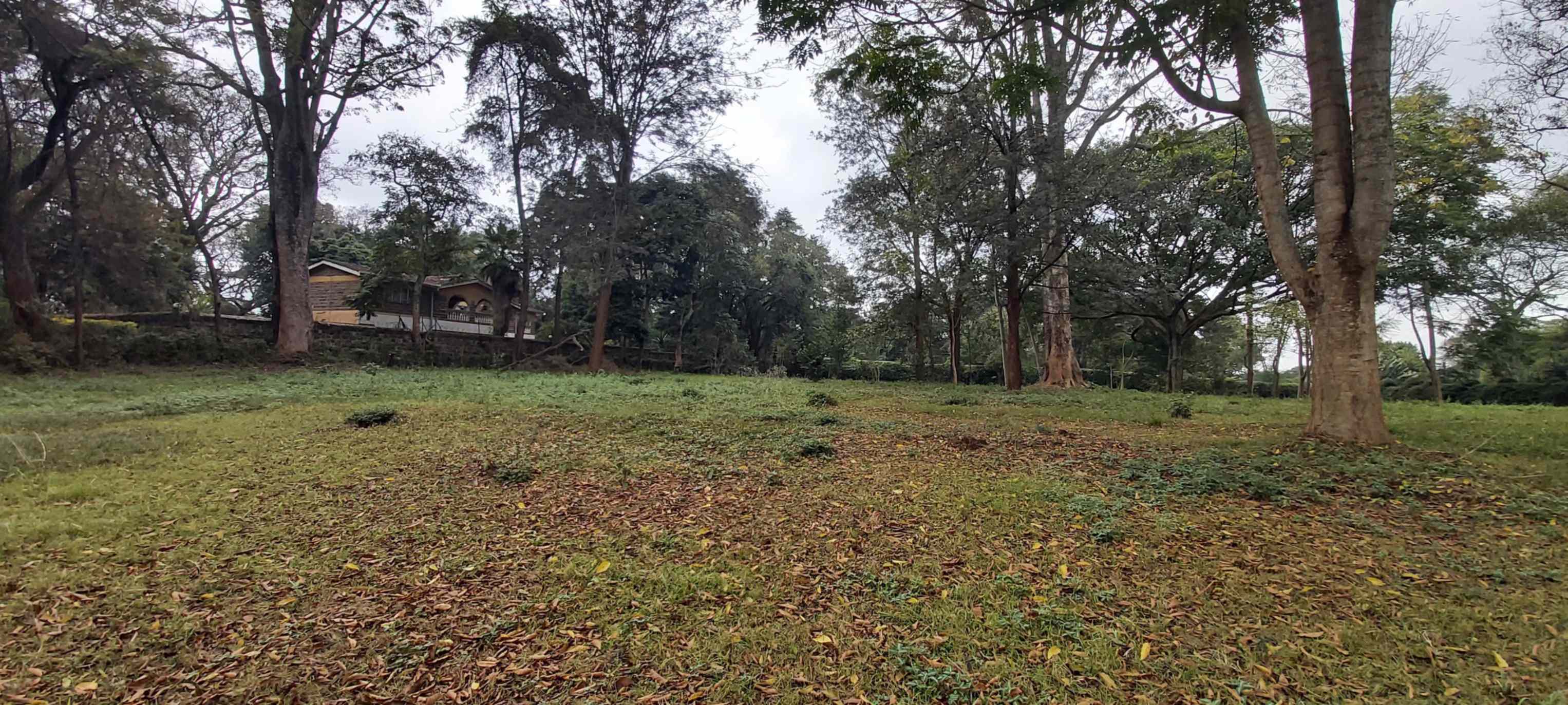 4 acre land for sale in Rosslyn