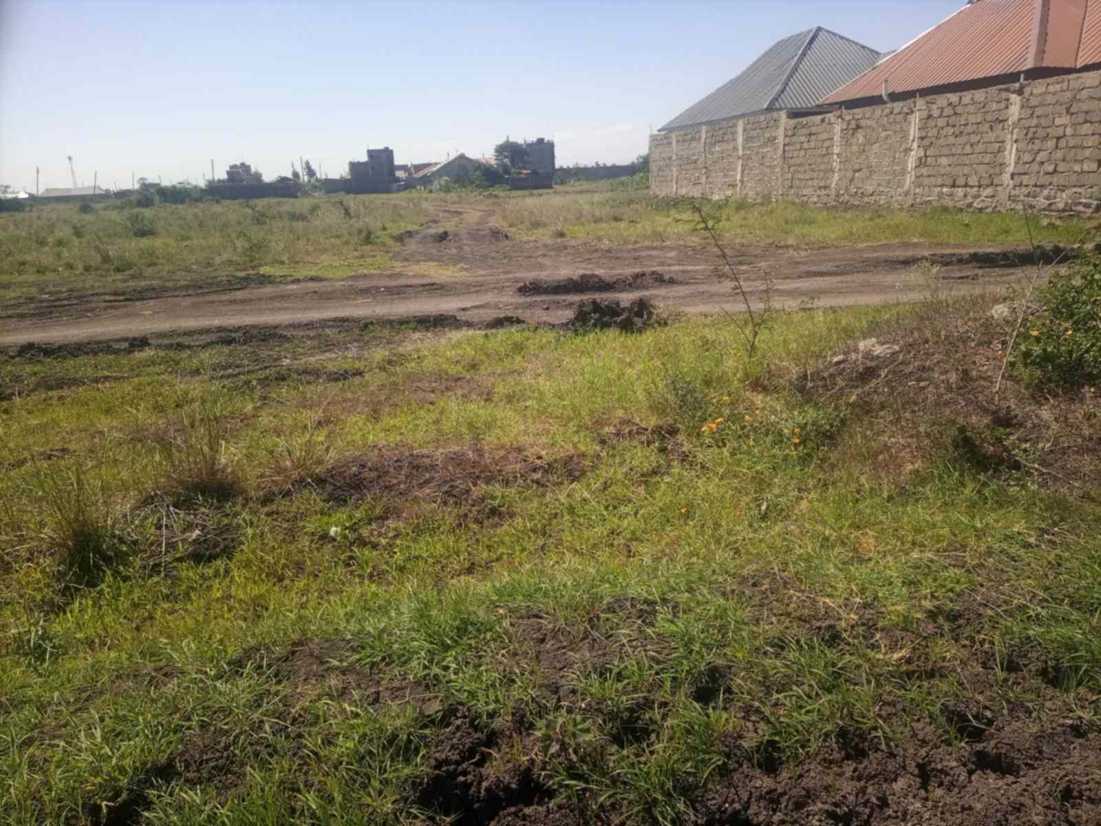 40 by 60 plots for sale in Murera Ndarasha Ndurumo gwa Tom