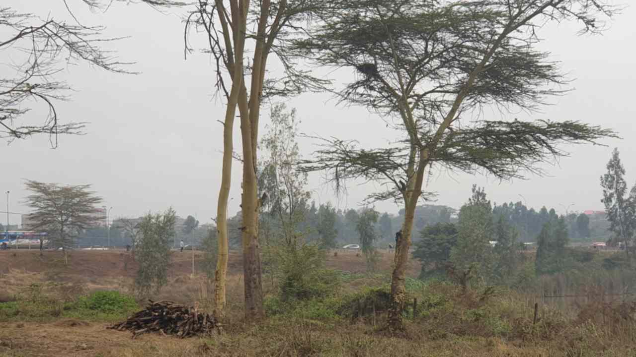 40 by 80 plots for sale in Kasarani
