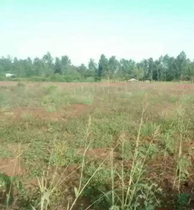 4000 acre land for sale in Rumuruti Laikipia